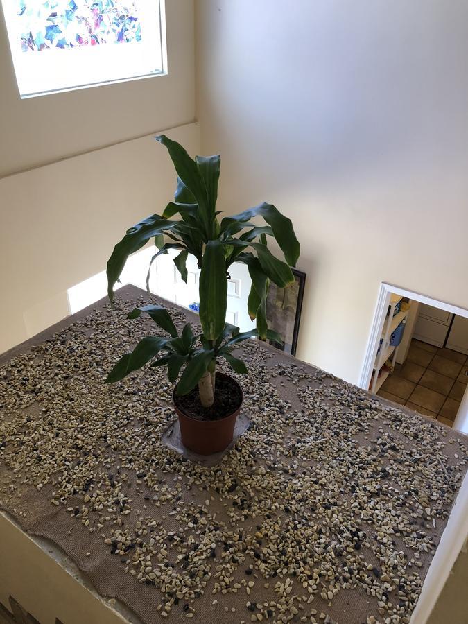 אנסנאדה Casa Flores & Flores מראה חיצוני תמונה